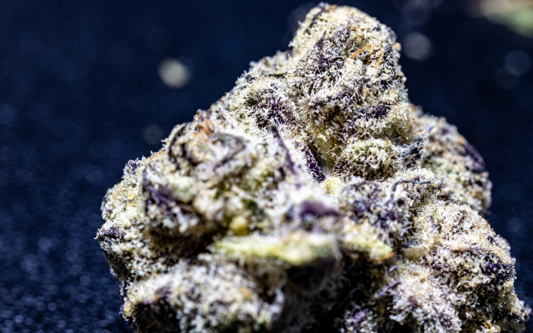 Why Weed Still Has a Stigma and 7 Ways That’s Finally Changing