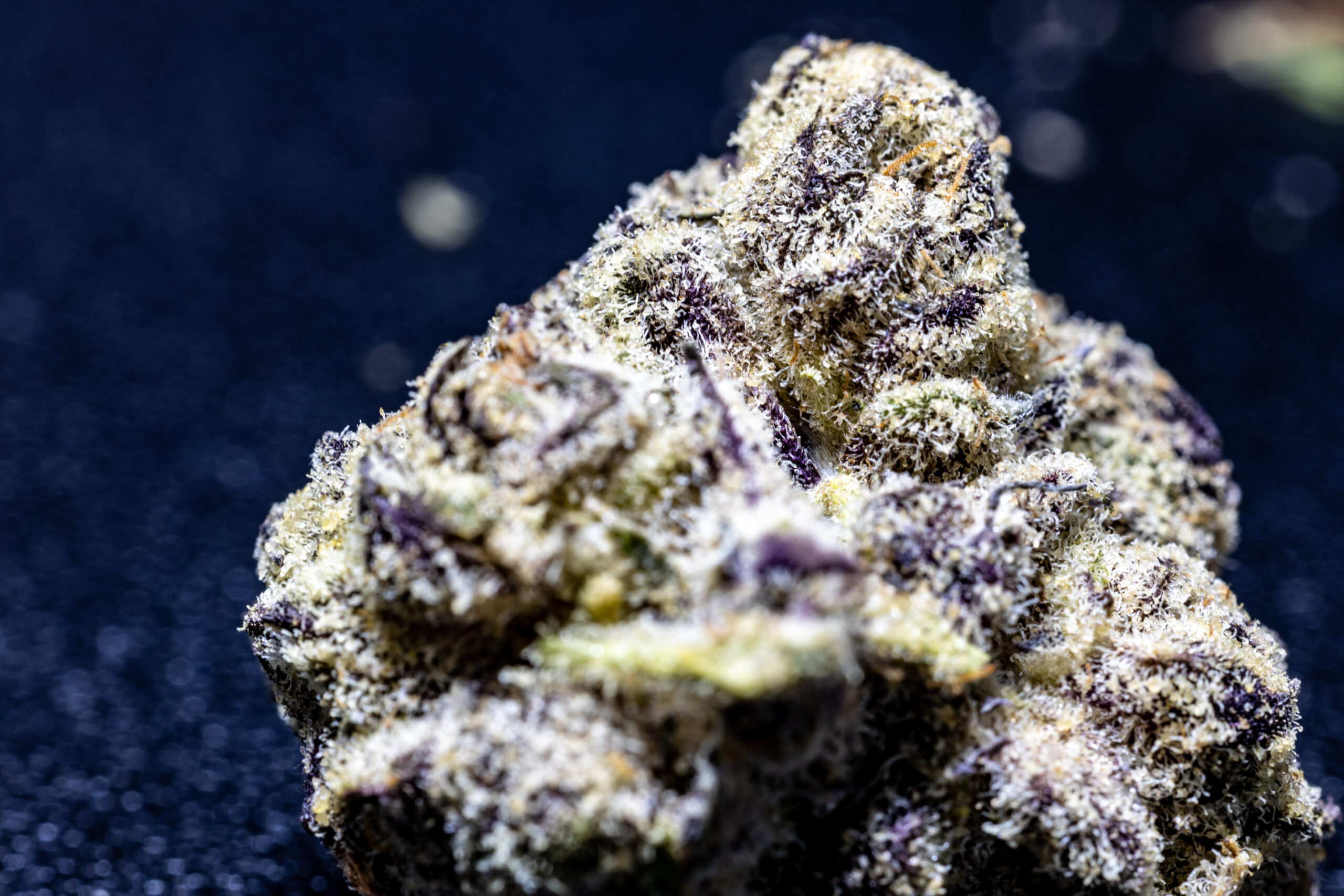 Weed stigma in modern culture.