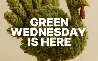 Ultimate NYC Green Wednesday Deal Guide